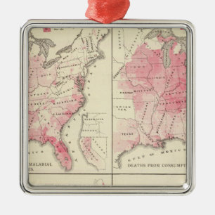 United States vitality maps Metal Ornament