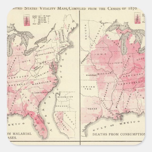 United States vitality maps Square Sticker (Front)