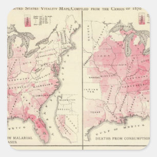 United States vitality maps Square Sticker