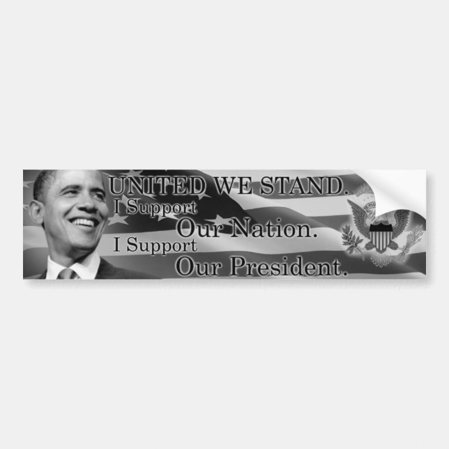 United We Stand Bumper Sticker (Front)
