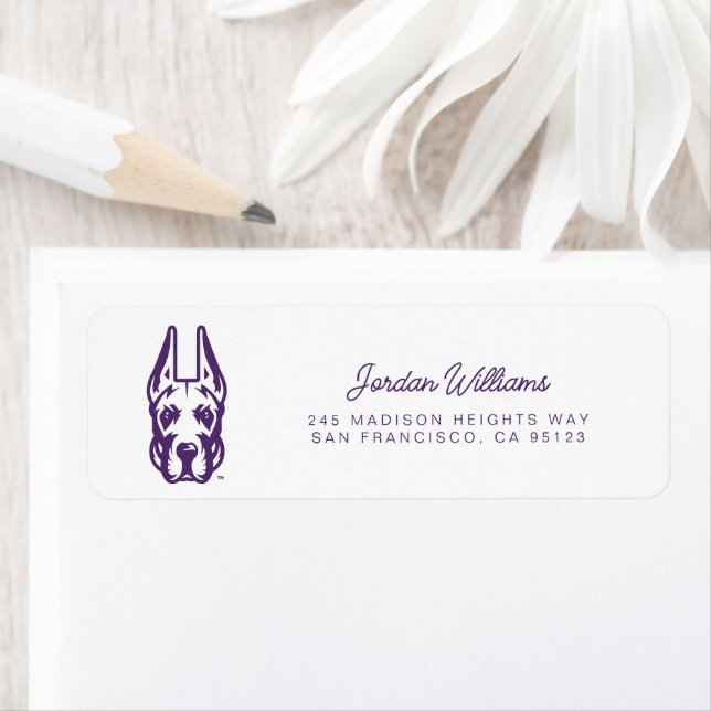 Université d'Albany Chef de la mascotte Great Dane (En situation)