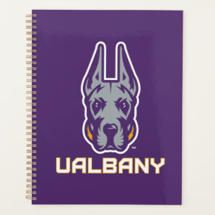 Université d'Albany Great Danes