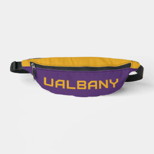 Université de Albany Wordmark