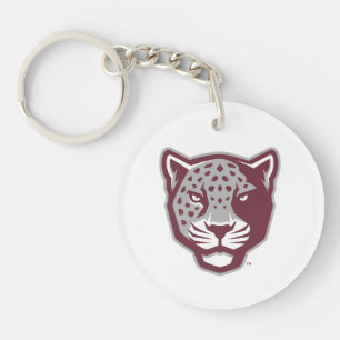 Université Texas A&M de San Antonio   Jaguars