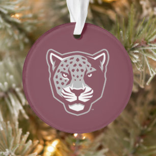 Université Texas A&M de San Antonio   Jaguars