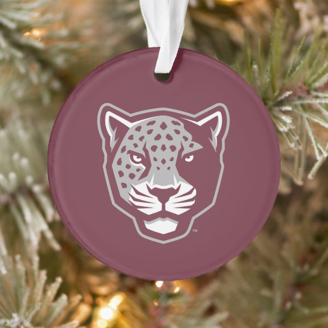 Université Texas A&M de San Antonio | Jaguars (Arbre)