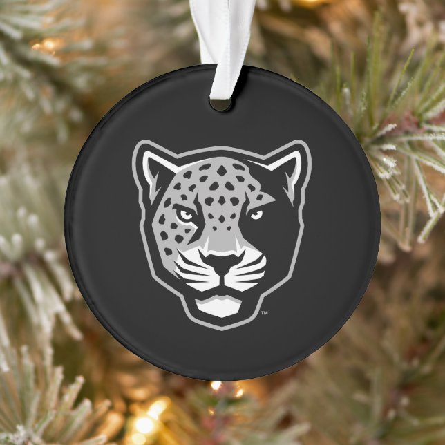 Université Texas A&M de San Antonio | Jaguars (Arbre)