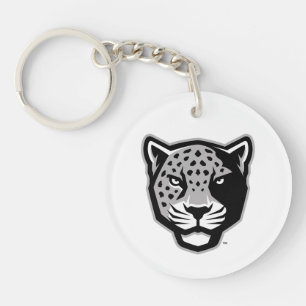 Université Texas A&M de San Antonio   Jaguars