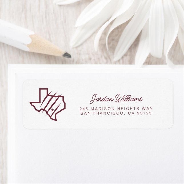 Université Texas A&M de San Antonio | Logo d'état (En situation)