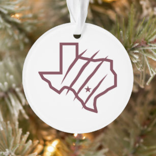 Université Texas A&M de San Antonio   Logo d'état