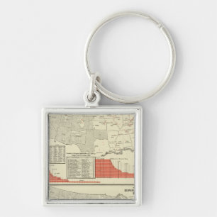 Universities, colleges keychain