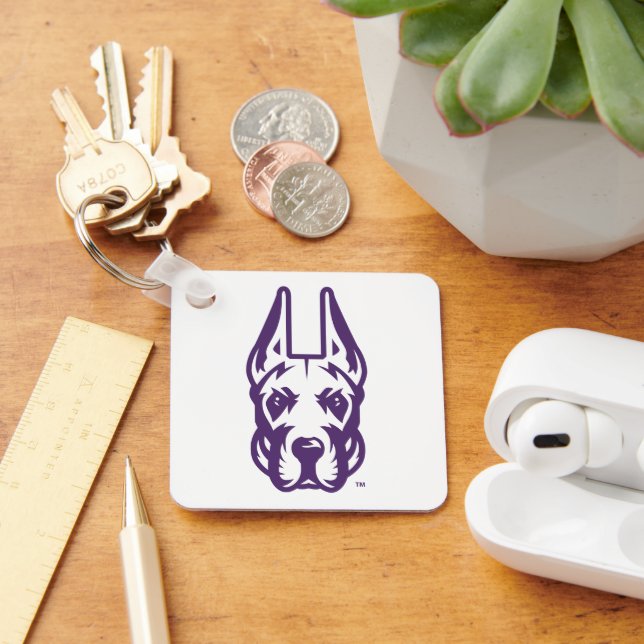 University at Albany Great Dane Mascot Head Keychain (Desk)
