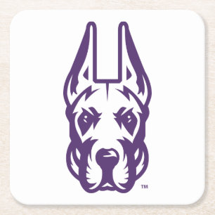 University at Albany Great Dane Mascot Head Square Paper Coaster