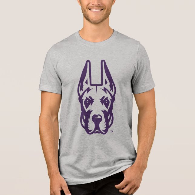 University at Albany Great Dane Mascot Head Tri-Blend Shirt (Front)
