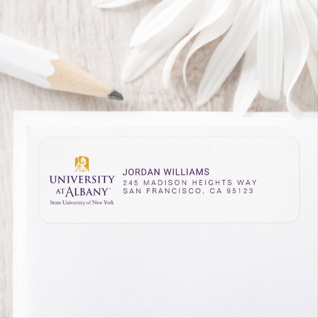 University at Albany Iconic Logo (Insitu)
