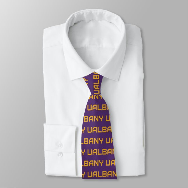 University at Albany Wordmark Tie (Tied)