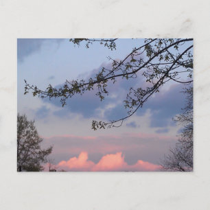 University City Goodwill Postcard