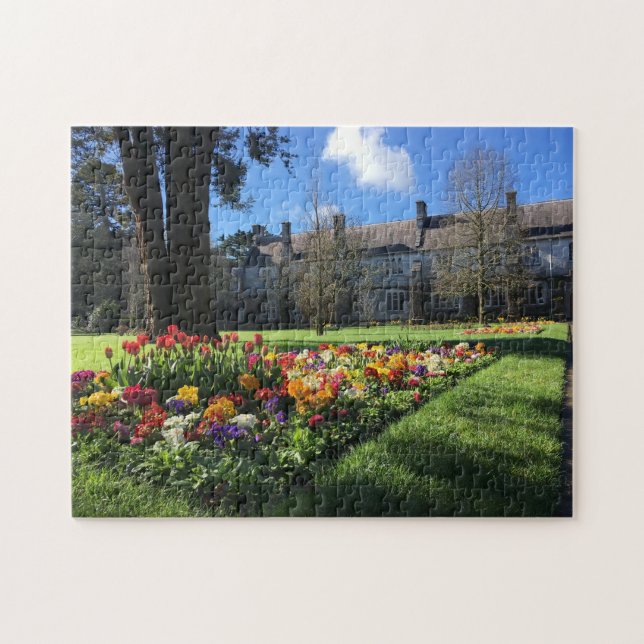 University College Cork Irlande Puzzle (Horizontal)