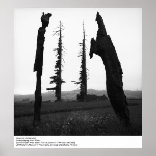 University of California by Ansel Adams Poster