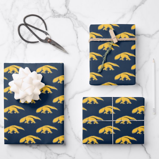 University of California, Irvine Anteater Wrapping Paper Sheet (Front)