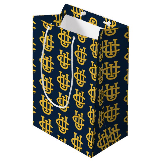 University of California, Irvine Logo Medium Gift Bag (Front Angled)