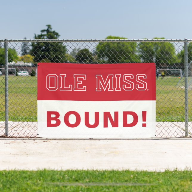 University of Mississippi | Ole Miss Wordmark Banner (Insitu)