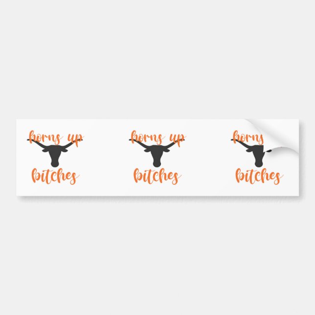 University of Texas Bumper Sticker (Front)