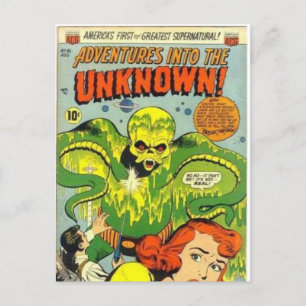 Unknown - 1 postcard