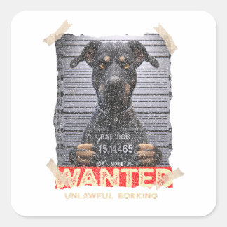 Unlawful Barking: The Doberman's Stern Warning Square Sticker