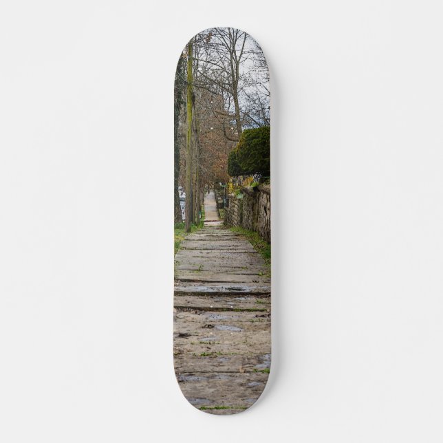 Unlevel Pathway Skateboard (Front)