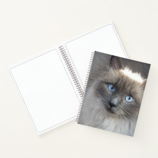 Unlined Spiral Journal-Cat Cover Notebook