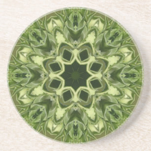 Unopened Sunflower Coaster