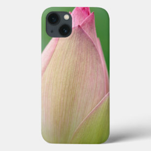 Unopened Water Lily Bulb, Durban Botanical iPhone 13 Case