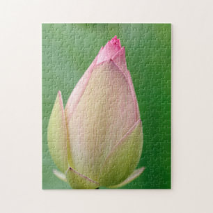 Unopened Water Lily Bulb, Durban Botanical Jigsaw Puzzle