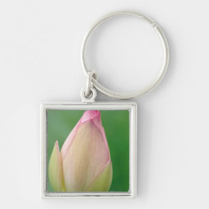 Unopened Water Lily Bulb, Durban Botanical Keychain