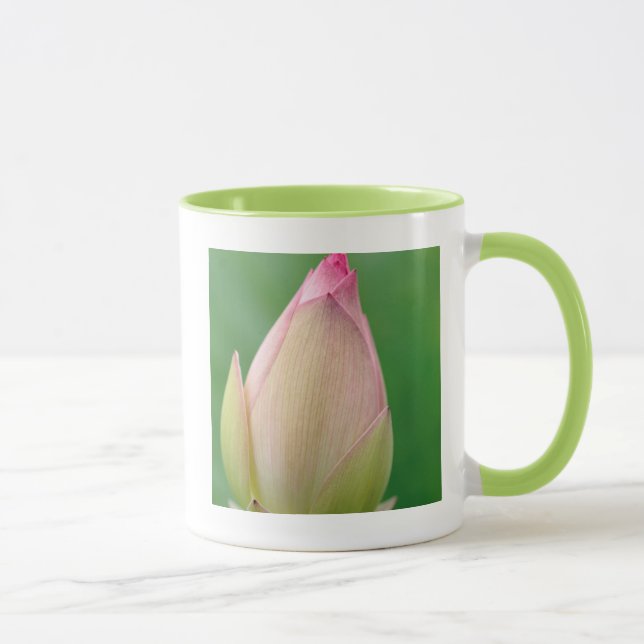 Unopened Water Lily Bulb, Durban Botanical Mug (Right)