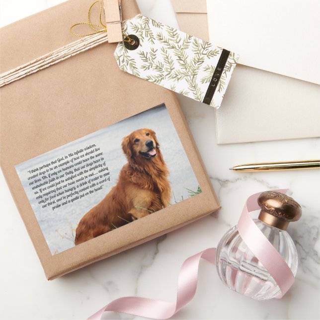 Unshakable Faith  Inspirational Sticker (Gifting)