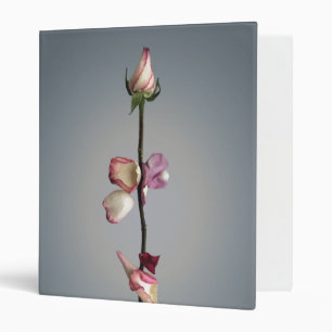 Until the last petal... binder