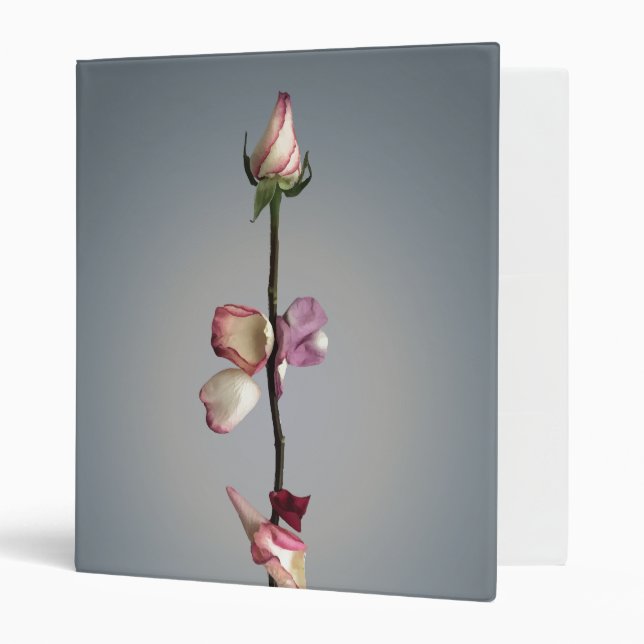 Until the last petal... binder (Front/Inside)