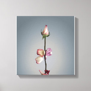 Until the last petal... canvas print