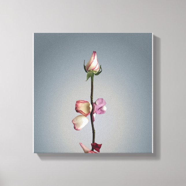 Until the last petal... canvas print (Front)
