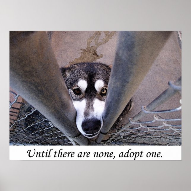 Until there are none, adopt one (watercolor) poster (Front)
