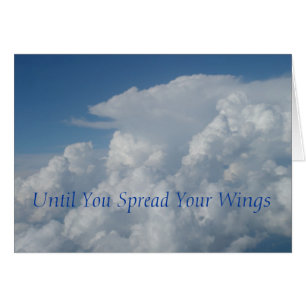 Until You Spread Your Wings