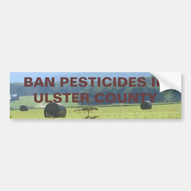 Untitled Bumper Sticker (Front)