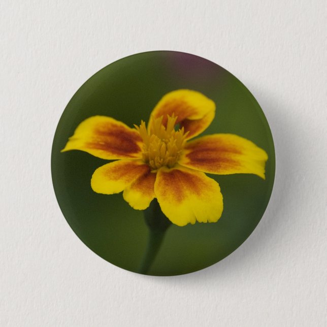 Untitled Button (Front)