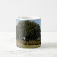 Untitled Coffee Mug