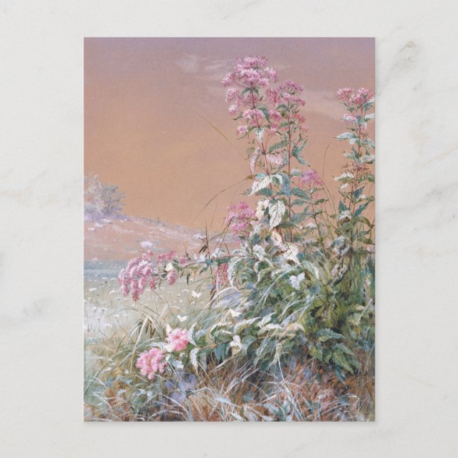 Untitled | Fidelia Bridges Postcard (Front)