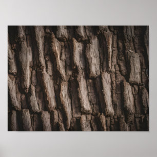 Untreated Natural Tree Bark Texture Poster