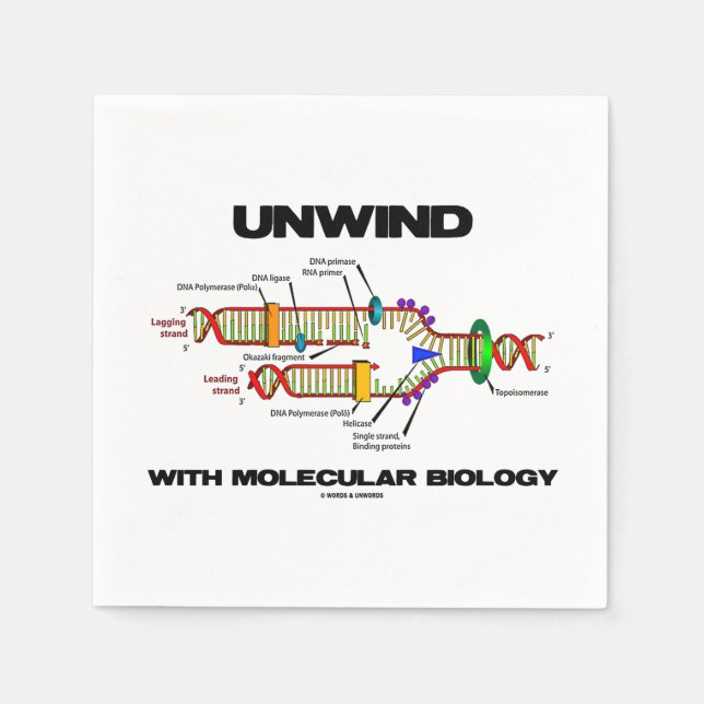 Unwind With Molecular Biology DNA Replication Napkin (Front)