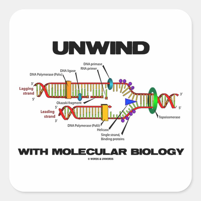 Unwind With Molecular Biology (DNA Replication) Square Sticker (Front)